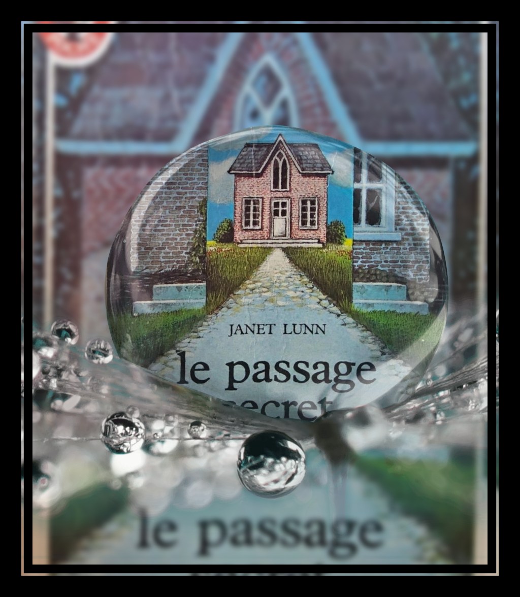 Le Passage secret de Janet Lunn: Un Classique de MA Littérature&nbsp;Jeunesse